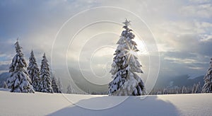 Winter landscape. Spectacular panorama is opened on mountains, trees covered with white snow, lawn and blue sky with clouds