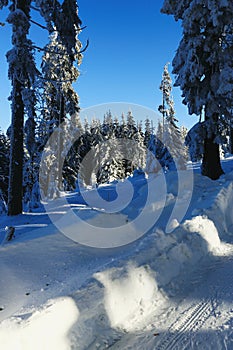 Winter landscape, Spicak, Bohemian Forest, Czech Republic