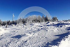 Winter landscape, Spicak, Bohemian Forest, Czech Republic