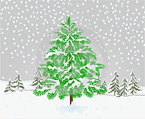 Winter landscape Spruce tree with snow christmas theme natural background vintage vector illustration editable