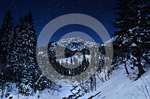 Winter landscape in a starry night photo