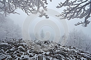 Winter Landscape. Stone of sea landscape with snow and dark grey foggy sky and branches with white snow rime during cold winter. S