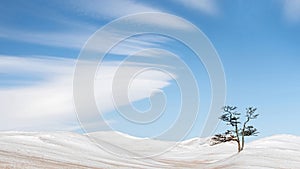 Winter landscape in the style of minimalism. Lonely tree and snowy hills against the blue sky with clouds.