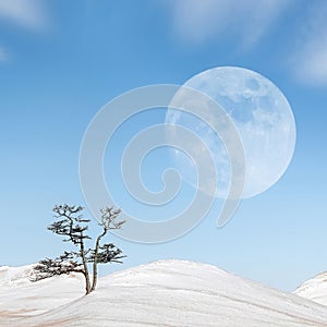 Winter landscape in the style of minimalism. Lonely tree, snowy hills against the blue sky with clouds and moon. Square image.