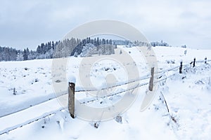 Winter landscape in the Sudetes, white snow covers the field and the forest surrounded by a fence