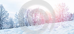 Winter landscape in the Sudetes, white snow covers the field and trees on a clear day