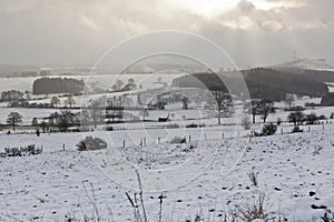 Winter snowy landscape, Vielsalm, Ardens, Belgium photo