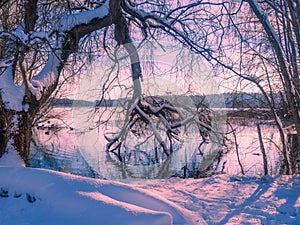 Winter landscape with sun setting among the trees at the lake s
