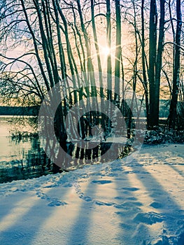 Winter landscape with sun setting among the trees at the lake s