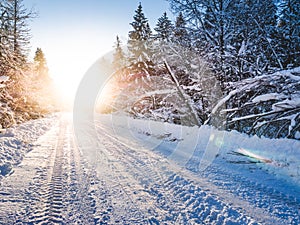 Winter landscape with sunbeams, forest and road