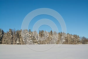 Winter landscape. Sunny day. Winter decline. The bright colors. Simple landscape. Winter forest. forest road. winter fild.