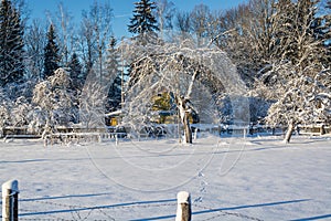 Winter landscape. Sunny day. Winter decline. The bright colors. Simple landscape. Winter forest. forest road. winter fild.