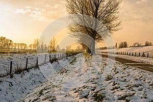 Winter landscape during sunset