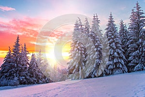 Winter landscape on a sunset. Bulgaria