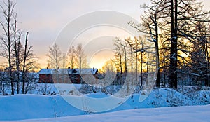 Winter landscape with sunset and the forest