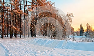 Winter landscape with sunset and the forest