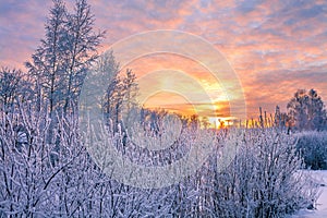 Winter landscape with sunset