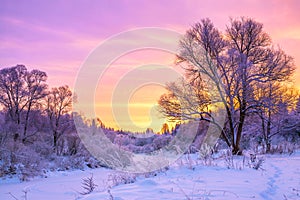 Winter landscape with sunset and the forest