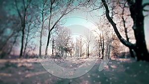 Winter landscape, sunset. snowflakes background