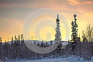 Winter landscape at sunset sunrise. Christmas trees in the bliss, forest, Park. mountains in the snow. winter.