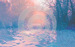 winter landscape sunset with wooded area