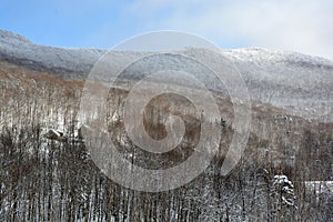Winter landscape in Sutton mountain