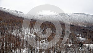 Winter landscape in Sutton mountain