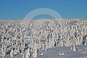 Winter landscape Sweden