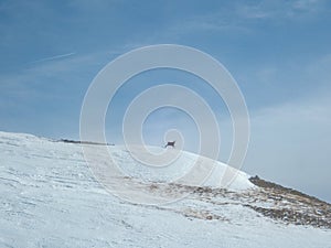 Winter landscape tennengebirge in austrian alps