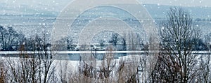 Winter landscape with thickets of trees and bushes near a river and a field during a heavy snowfall