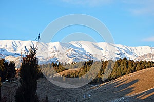 The winter landscape of Tochal mountain north of Tehran and cypress tree