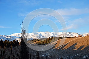 The winter landscape of Tochal mountain over Tehran