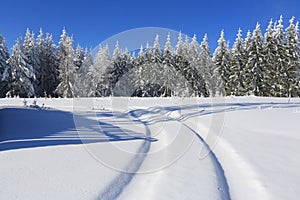 Winter landscape and trails for skiers