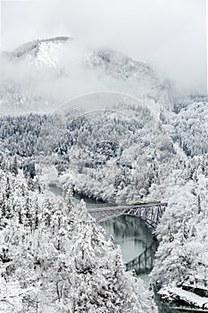 Winter landscape train