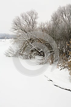 Winter landscape with trees on the banks of the Klyazma River in the Moscow region