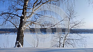 Winter landscape with trees on a cliff and a view from a height of a frozen river or a field with snow on a cold sunny