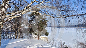 Winter landscape with trees on a cliff and a view from a height of a frozen river or a field with snow on a cold sunny