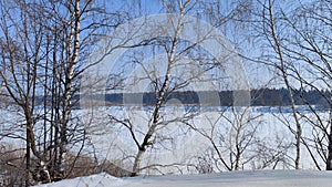 Winter landscape with trees on a cliff and a view from a height of a frozen river or a field with snow on a cold sunny day with a