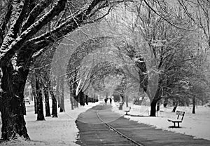 Winter landscape with trees and a couple in the snow