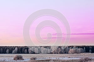 Winter landscape trees covered with frost