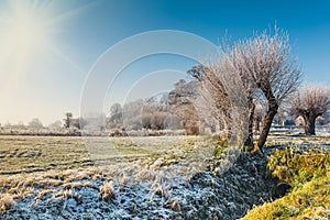 Winter landscape with trees covered with hoarfrost