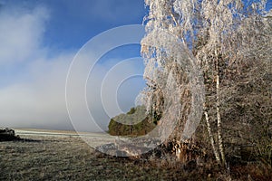 Winter landscape with trees covered with hoarfrost