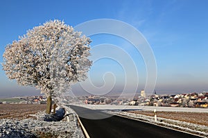 Winter landscape with trees covered with hoarfrost