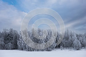 Winter landscape with trees covered in rime frost