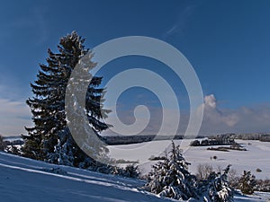 Winter landscape with trees covered by snow and beautiful panoramic view over snow-covered fields and forest on horizon.