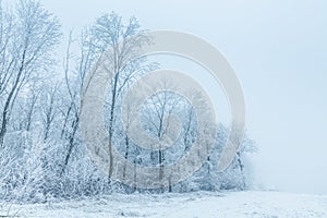 Winter Landscape, trees covered with snow, Germany