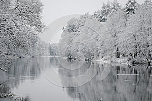 Winter landscape of trees on the edge of the river