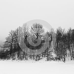 Winter landscape, with trees and hill covered by snow