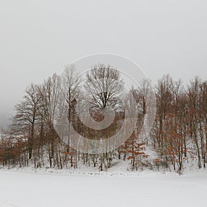 Winter landscape, with trees and hill covered by snow