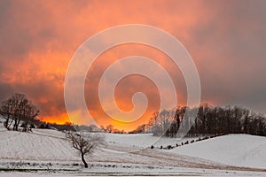 Winter landscape, with trees and hill covered by snow and warm, orange sunset sky